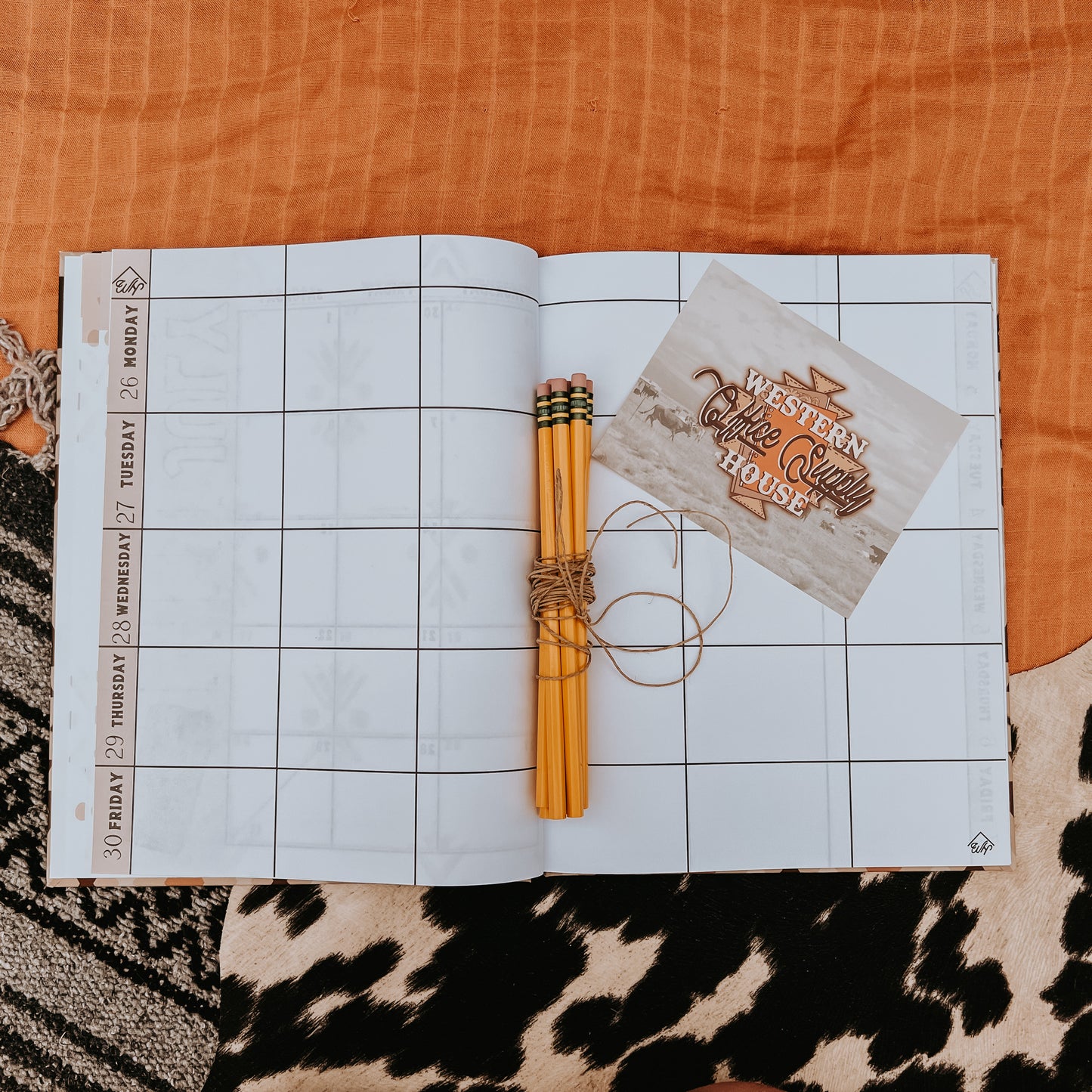Armadillo Aces - Teacher - Hard Cover