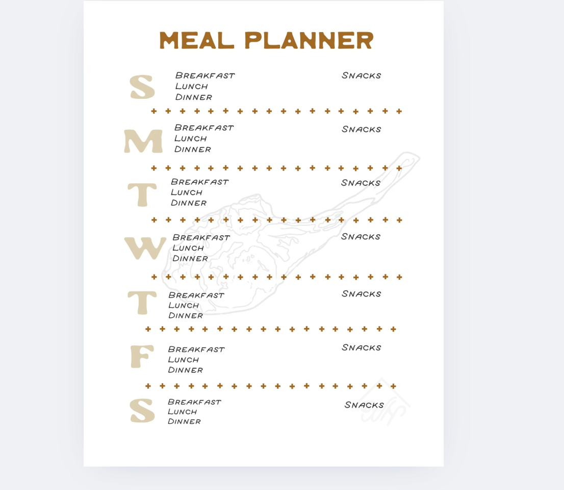 Undated 12-Month Planner - Spiral Bound
