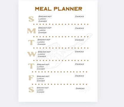 Undated 12-Month Planner - Spiral Bound